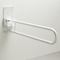 Bathroom Drop Down Rail
