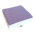 iCare Standard Seat Cushion