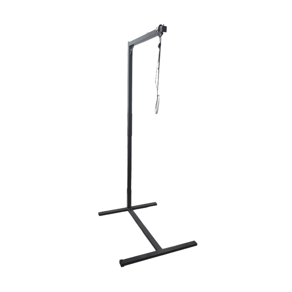 iCare Over Bed Pole